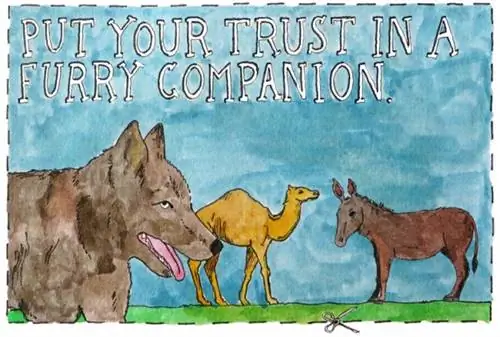 Доверьтесь пушистому компаньону