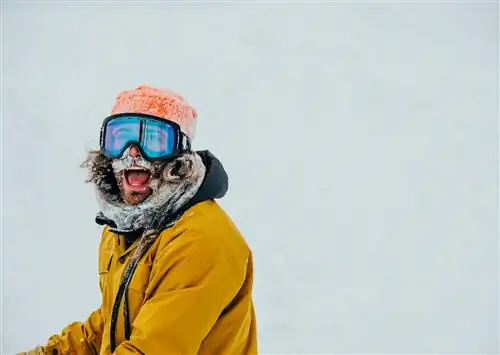 22 предмета первой необходимости для любого зимнего приключения