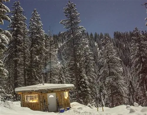Хижина Морс Крик Кертис Хейшман