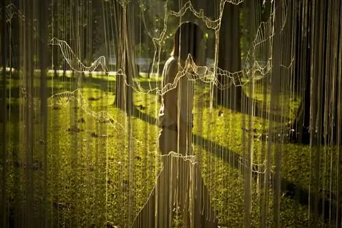 Фоторепортаж: Свет и тень в Чиангмае, Таиланд