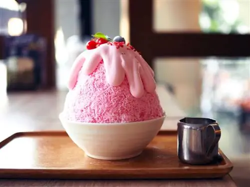 15 сливочных, фруктовых и вкуснейших видов мороженого со всего мира