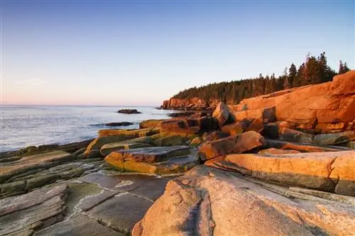 Морской пейзаж в Акадии, Park Loop Road