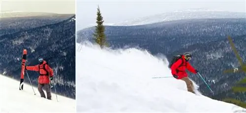 Беговые лыжи Квебек