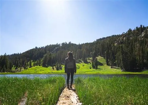 California Unplugged: 5 маршрутов на выходные, чтобы отучить детей от мобильных телефонов