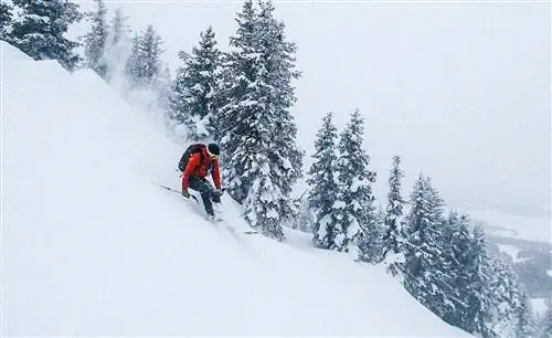 8 способов, которыми «снежная культура» Солт-Лейк-Сити превращает катание на лыжах в образ жизни