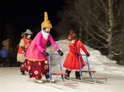 Зимний кикслей Финляндия