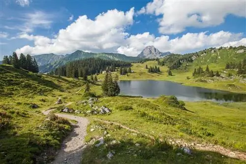6 отличных мест для пеших прогулок в Альпах
