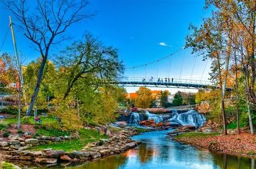 Falls Park on the Reedy с мостом Свободы