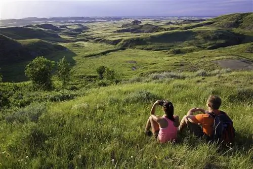 Пара пастбищ Саскачевана