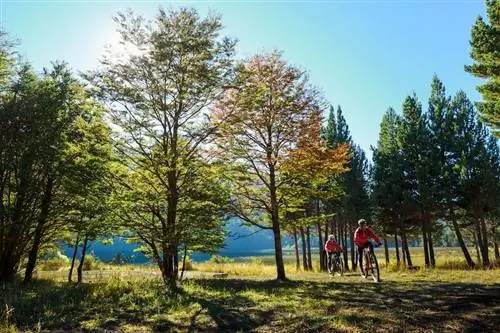 Чили катание на горных велосипедах