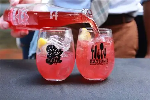 Большой обед Денвер