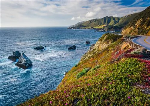 11 фактов о Монтерее, Калифорния, которые вас удивят