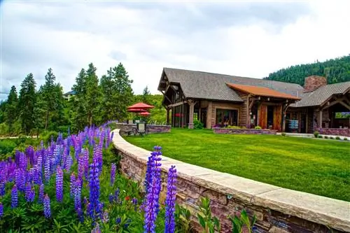 Виноградники Сильвара