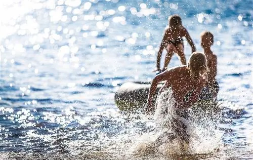 Финляндия Сайма плавание