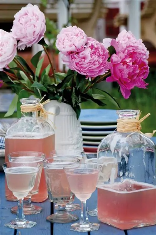 Финляндия напитки