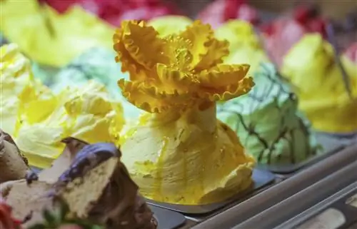 атлантис мороженое