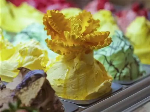 9 удивительных блюд и напитков, которые можно попробовать в Реноалле в одном месте