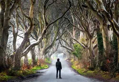 8 причин, по которым вам нужно посетить Ирландию ПРЯМО СЕЙЧАС