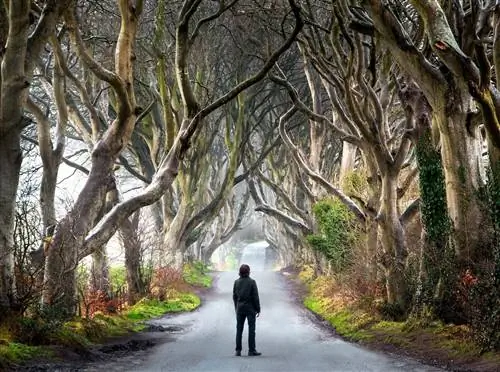 8 причин, по которым вам нужно посетить Ирландию ПРЯМО СЕЙЧАС