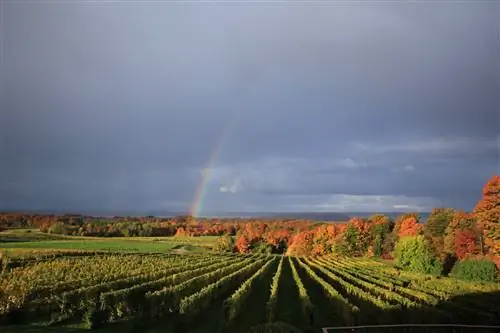 Винодельня Chateau Grand Traverse в Мичигане