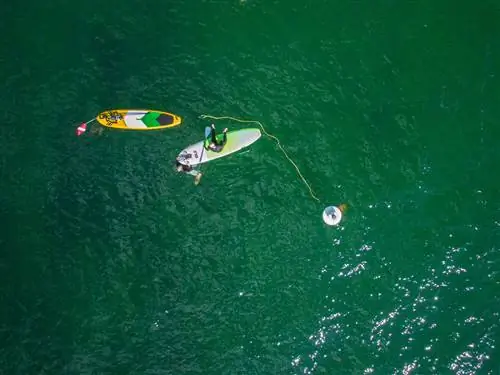 SUP Мичиган не использовать повторно