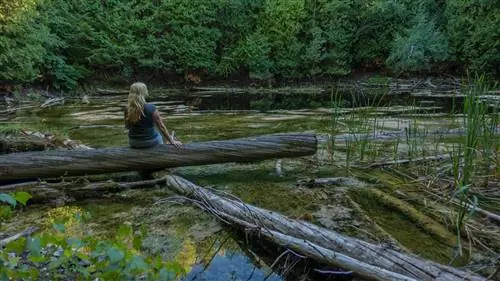 Воронки Мичигана не используются повторно