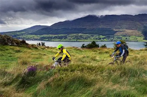 Ньюкасл Ирландия