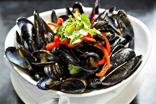 Бистро Черного Рынка Мэриленд