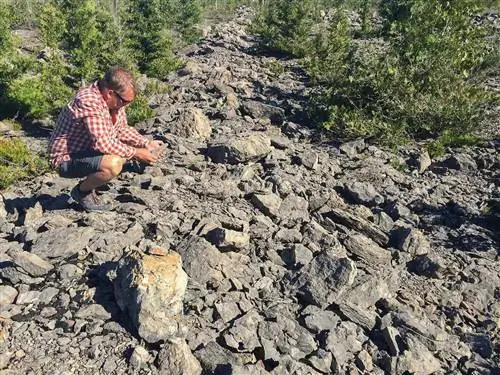 Окаменелости Мичигана не используются повторно