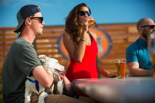 Пиво Сан-Луис-Обиспо