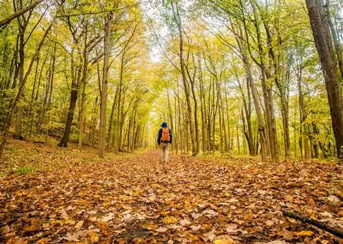 Самые красивые государственные парки Новой Англии