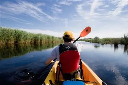 Каякинг Бэк Бэй