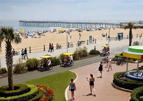 Resort Beach_Boardwalk_Surrey_Virginia Beach CVB