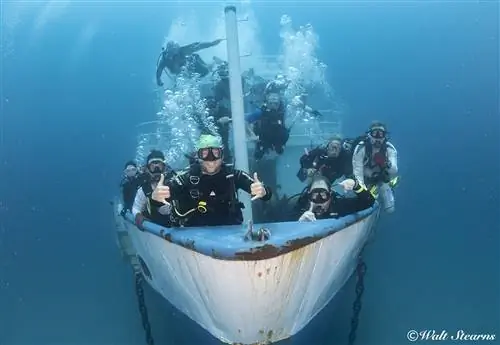 MV Ana Cecilia Palm Beaches Florida не используют повторно