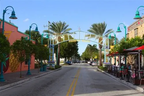 Район искусств Ананапл-Гроув, Флорида