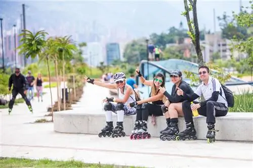 Медельин друзья людей