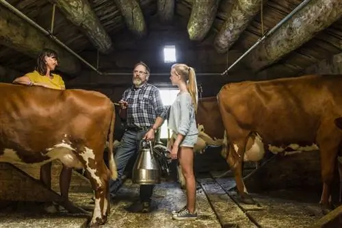 Ферма Норвегия не использовать повторно