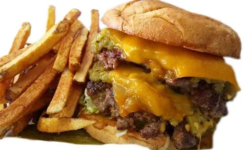 Мобильная кухня шеф-повара Тоддзиллы не используется повторно