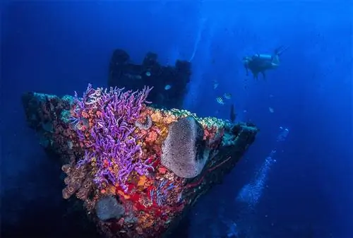 Дайвинг на затонувших кораблях на Арубе