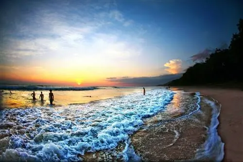 10 потрясающих способов познакомиться с настоящей культурой Коста-Рики