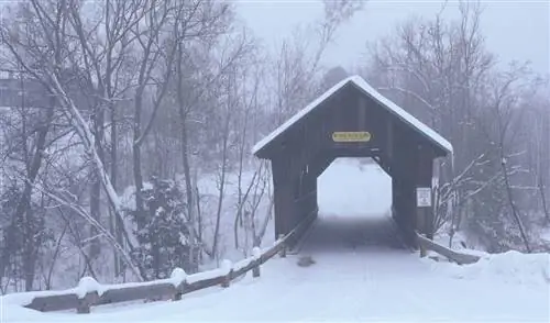 Крытый мост Болотного луга в Род-Айленде - один из немногих сохранившихся в штате.