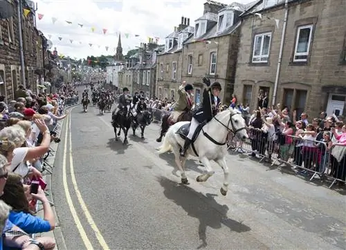 Общие поездки