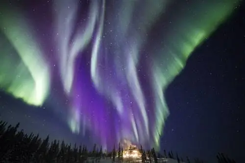 nwt_credit_blachford-лейк-лодж-и-мартина-гебровска