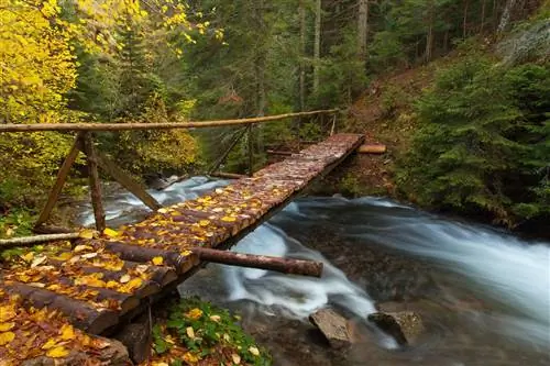 осеннее путешествие4