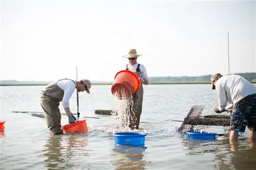 Дом удовольствий Oysters Вирджиния-Бич