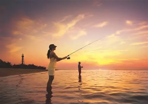9 впечатлений на пляжах Форт-Майерса & Sanibel Before You Die