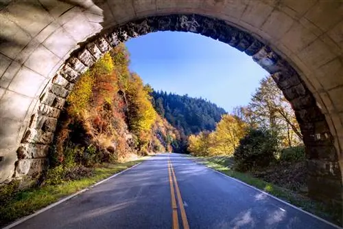 Blue Ridge Parkway _ Кредит ExploreAsheville.com