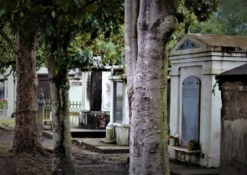 9 самых леденящих кровь туров с привидениями в США