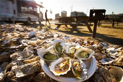 @VisitVentura_Joly_oyster_1