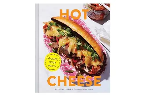 горячая-сырная-книга-полина-чеснакова